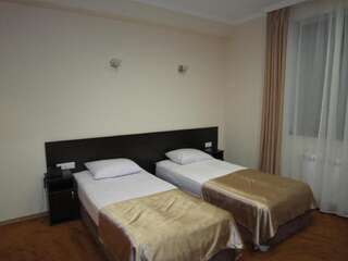Отель Jermuk Verona Resort Джермук Стандартный двухместный номер с 2 отдельными кроватями-8